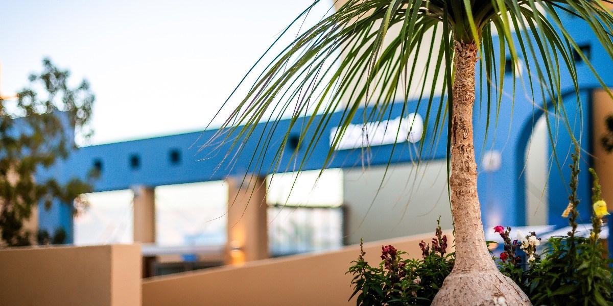 Almogim Suites Eilat Hotel (Adults Only) 외부 사진
